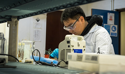 A male researcher in the dielectric lab